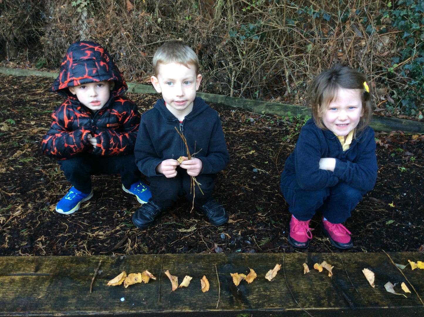 children looking at patterns of leaves