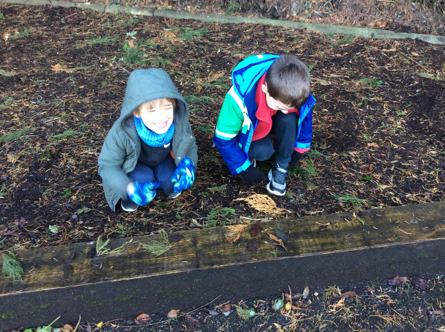 boys making a repeating pattern from leaves