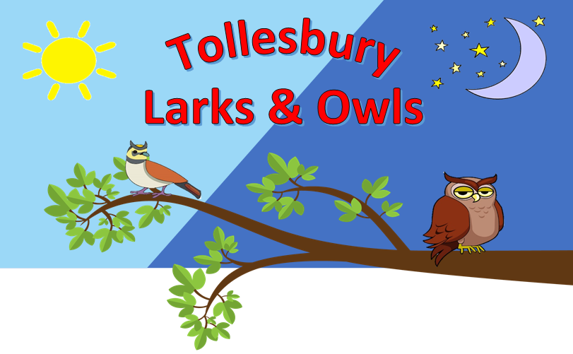 a lark and an owl sitting on a branch. 
